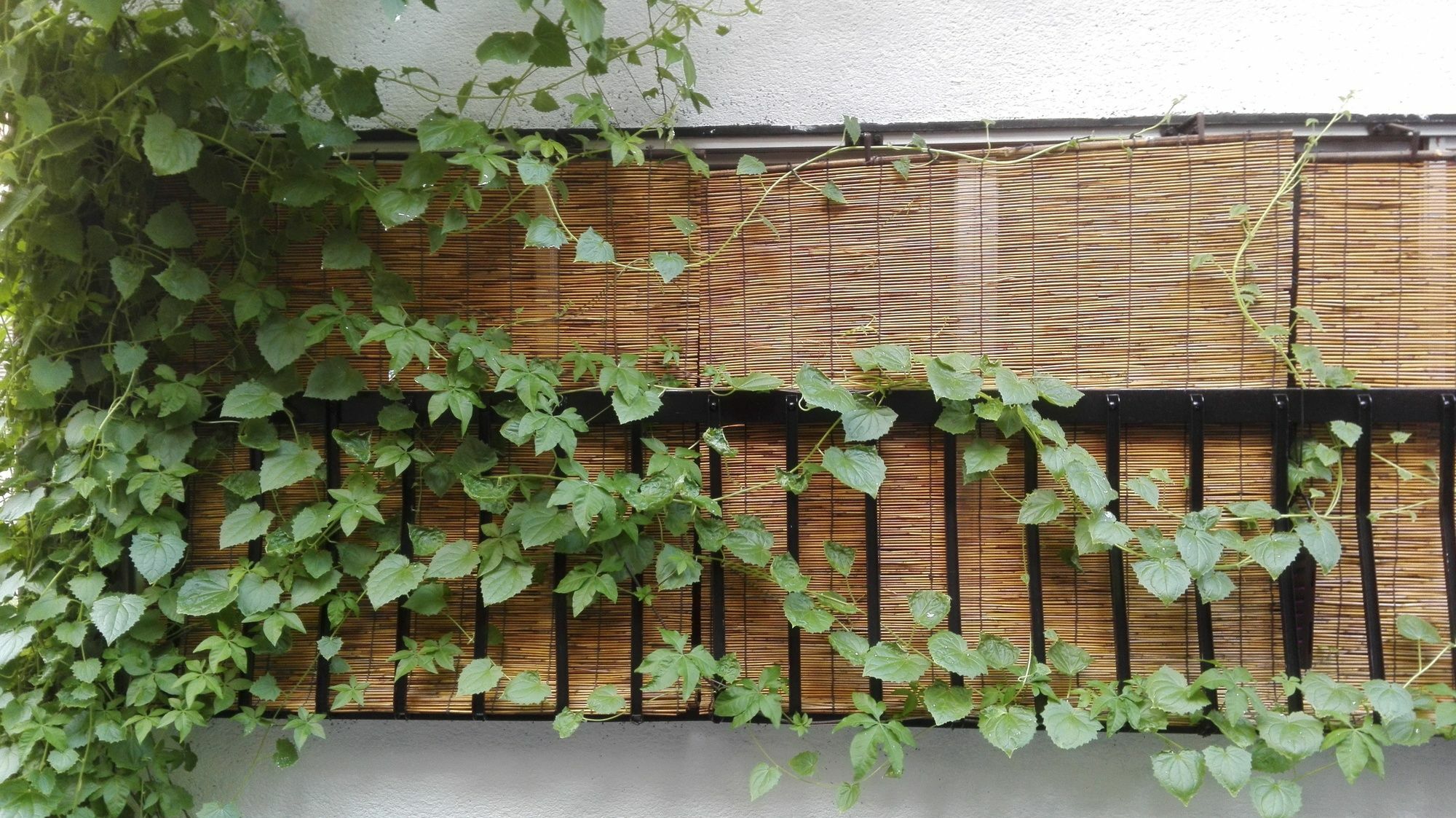 Serendipity At Kyōto Exterior foto